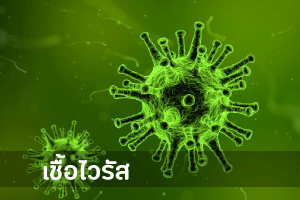 เชื้อไวรัส เป็นอีกปัจจัยหนึ่งที่ทำให้ตับอักเสบ